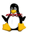 Linux虚拟主机